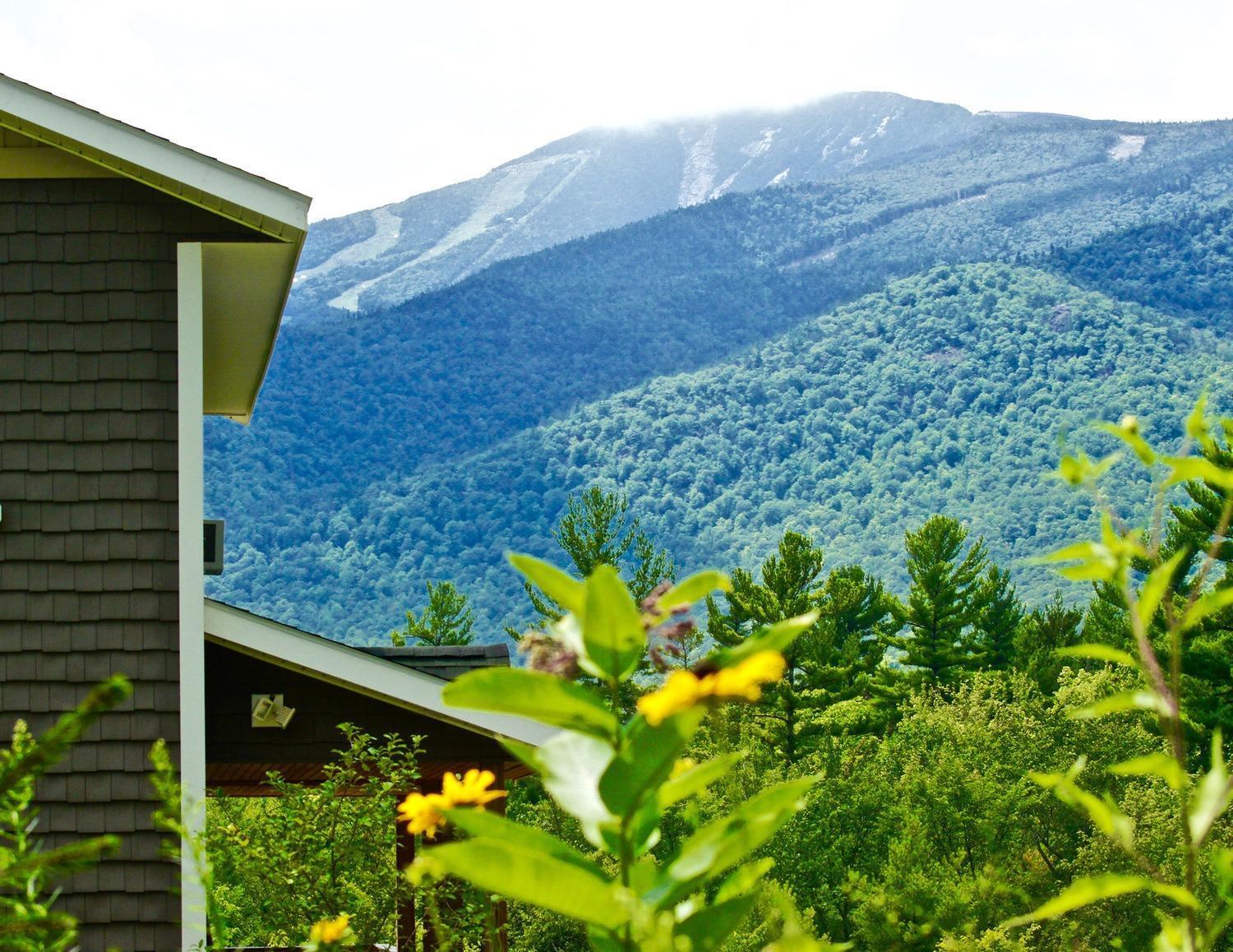 Lookout Mountain Chalet Villa Wilmington Luaran gambar